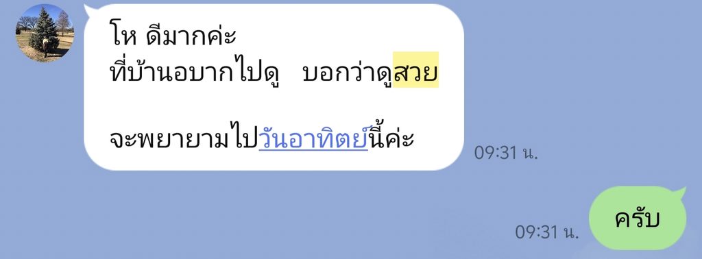 รีวิวลูกค้า ร้านขายศาลพระภูมิมณีสุข ศาลพระภูมิ ศาลเจ้าที่ตายาย ร้านขายศาลพระภูมิ ร้านขายศาลพระภูมิกรุงเทพ ร้านขายศาลพระภูมิสมุทรปราการ ร้านขายศาลพระภูมินนทบุรี ร้านขายศาลพระภูมิปทุมธานี ร้านขายศาลพระภูมิสมุทรสาคร ร้านศาลพระภูมิอยุธยา ร้านศาลพระภูมิสมุทรปราการ ร้านศาลพระภูมิกรุงเทพมหานคร ร้านศาลพระภูมินนทบุรี ร้านศาลพระภูมิปทุมธานี ร้านศาลพระภูมิสมุทรสาคร ร้านศาลพระภูมิ ร้านขายศาลพระภูมิ ศาลพระภูมิราคาถูก ร้านศาลพระภูมิราคาถูก ร้านขายศาลพระภูมิราคาถูก ร้านขายศาลพระภูมิ ร้านขายศาลพระพรหม ร้านขายศาลเจ้าที่ ร้านขายศาลพระพรหมราคาถูก ร้านขายศาลพระพรหม ร้านขายศาลพระพรหมโมเดิร์น ร้านขายศาลพระพรหมโมเดิร์นราคาถูก ศาลพระพรหมเอราวัณ Erawan shrine ศาลพระภูมิเจ้าที่ ศาลพระภูมิเจ้าที่โมเดิร์น ศาลพระพิฆเนศ ศาลโมเดิร์นมินิมอล ศาลพระภูมิโมเดิร์นนอร์ดิกมินิมอล ร้านขายศาลเจ้าที่ราคาถูก ศาลพระภูมิโมเดิร์น ร้านขายศาลพระภูมิโมเดิร์นราคาถูก ร้านขายศาลพระภูมิโมเดิร์น ศาลพระภูมิ ศาลเจ้าที่ ศาลเจ้าที่โมเดิร์นราคาถูก ศาลพระภูมิเจ้าที่ ชุดศาลพระภูมิเจ้าที่ ศาลพระภูมิทรงไทย ศาลเจ้าที่ทรงไทย ราคาศาลพระภูมิ ราคาศาลเจ้าที่ ศาลพระภูมิราคา ศาลเจ้าที่ราคา โรงงานศาลพระภูมิ ศาลพระภูมิราคาไม่แพง ศาลพระภูมิโมเดิร์นราคาไม่แพง ศาลเจ้าที่ตายายโมเดิร์น ร้านขายศาลพระพรหม ร้านขายศาลพระพรหมราคาถูก ร้านขายศาลพระพรหมโมเดิร์นราคาถูก ร้านขายศาลพระพรหมราคาไม่แพง ร้านขายศาลพระพรหมโมเดิร์นราคาไม่แพง ศาลพระพรหมราคาถูก ศาลองค์เทพ ศาลองค์พระ ศาลพระภูมิมณีสุข ร้านศาลพระภูมิ ศาลพระพิฆเนศ ร้านขายศาลพระพิฆเนศ ร้านขายศาลองค์เทพ ร้านขายศาลองค์พระ โรงงานศาลพระภูมิ โรงงานศาลพระพรหม โรงงานศาลเจ้าที่ โรงงานศาลโมเดิร์น ศาลพระภูมิเจ้าที่จัดเป็นชุดมาตรฐาน